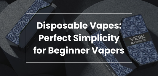 Disposable Vapes: Perfect Simplicity for Beginner Vapers